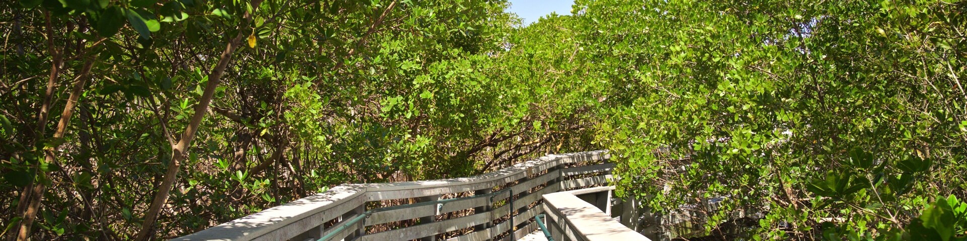 Anne Kolb Nature Center which includes a bridge and forests