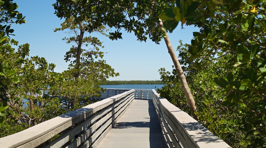 Anne Kolb Nature Center which includes a bridge and a lake or waterhole