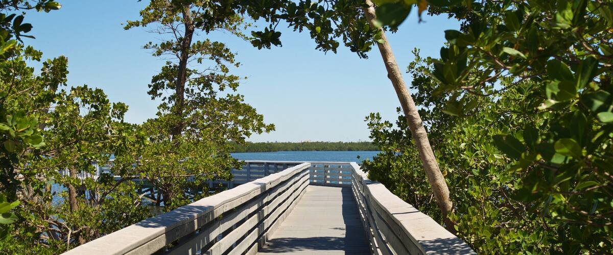 Anne Kolb Nature Center which includes a bridge and a lake or waterhole