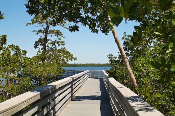 Anne Kolb Nature Center which includes a bridge and a lake or waterhole