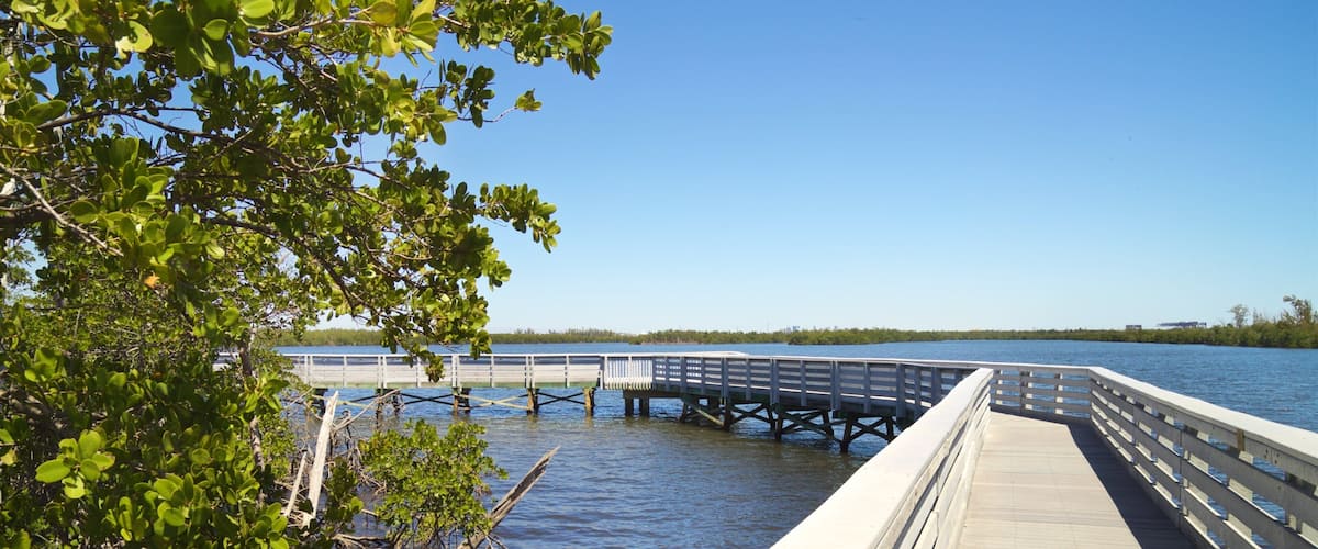 Anne Kolb Nature Center which includes a bridge and a lake or waterhole