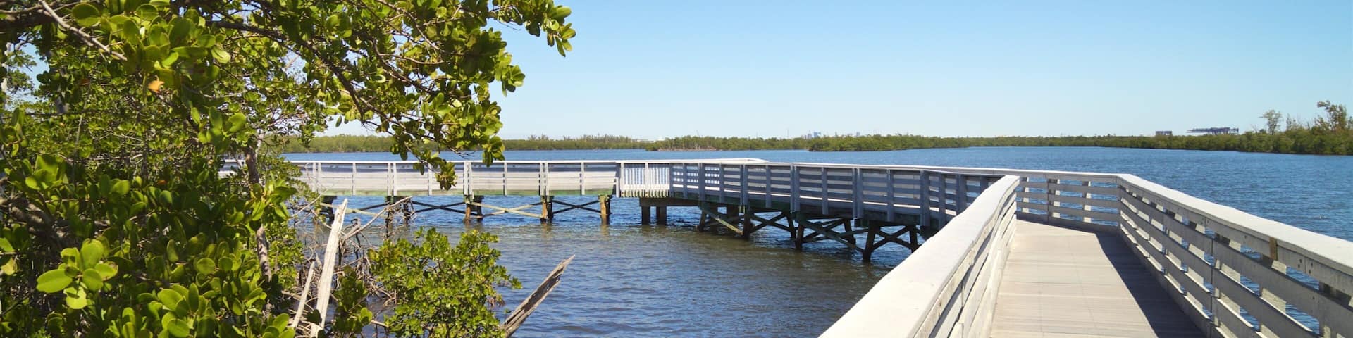 Anne Kolb Nature Center which includes a bridge and a lake or waterhole