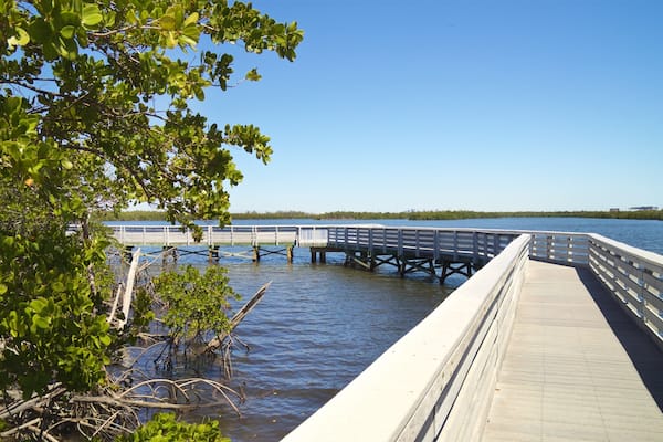 Anne Kolb Nature Center which includes a bridge and a lake or waterhole