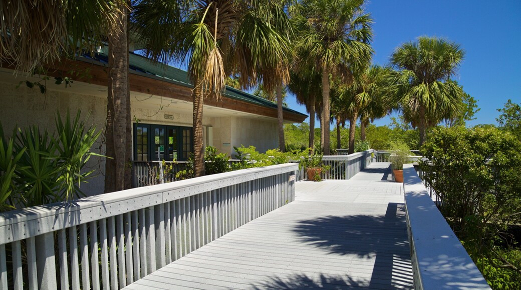 Anne Kolb Nature Center