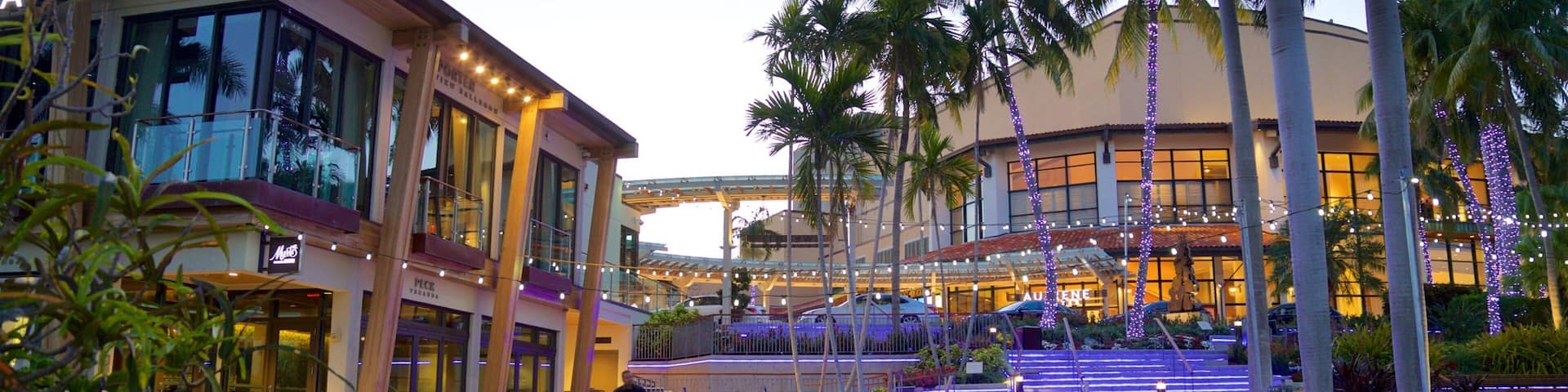 Broward Center for the Performing Arts which includes a park