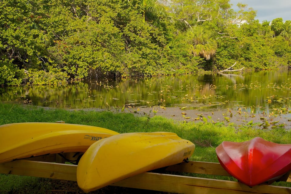 A wooden bench with yellow and red kayaks by a calm pond surrounded by lush greenery.