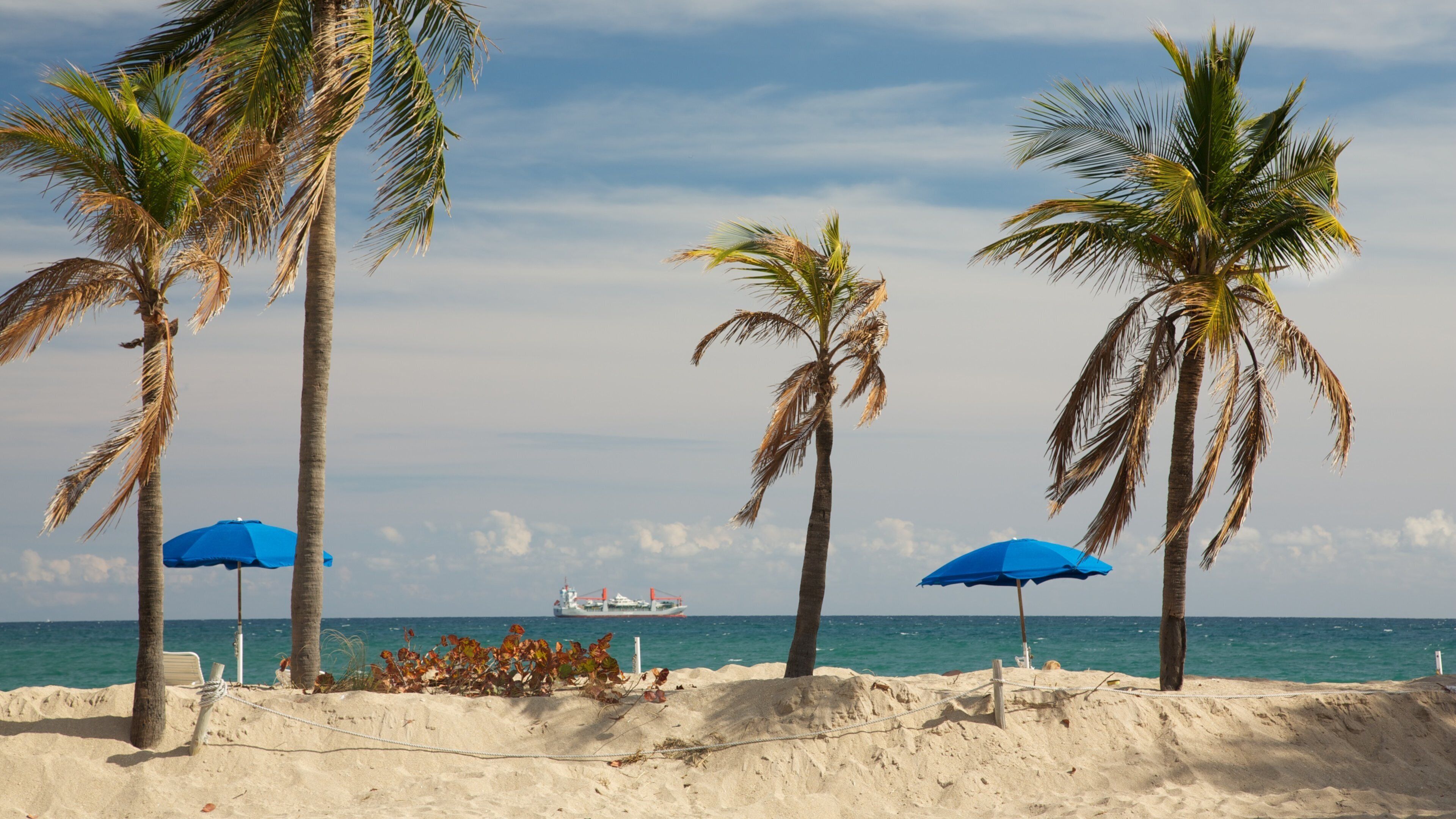 Hugh Taylor Birch State Park qui includes plage, panoramas et scènes tropicales