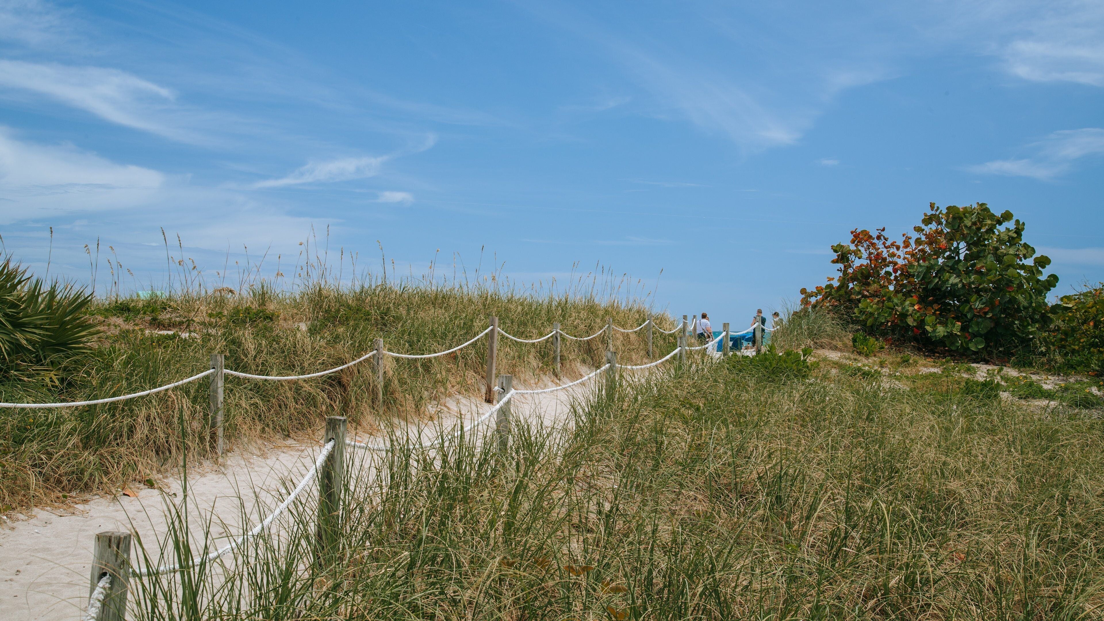 Lummus Park Beach featuring a sandy beach
