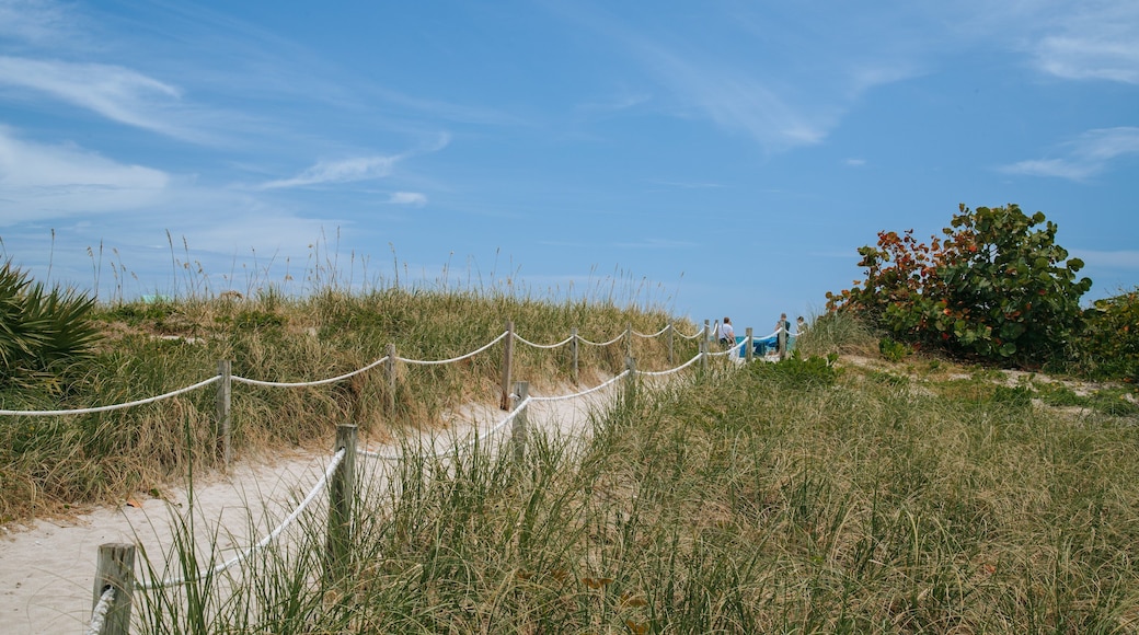 Lummus Park Beach featuring a sandy beach