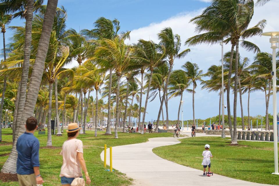 Uma trilha bordeada por palmeiras, com uma praia ao fundo e pessoas caminhando e brincando.