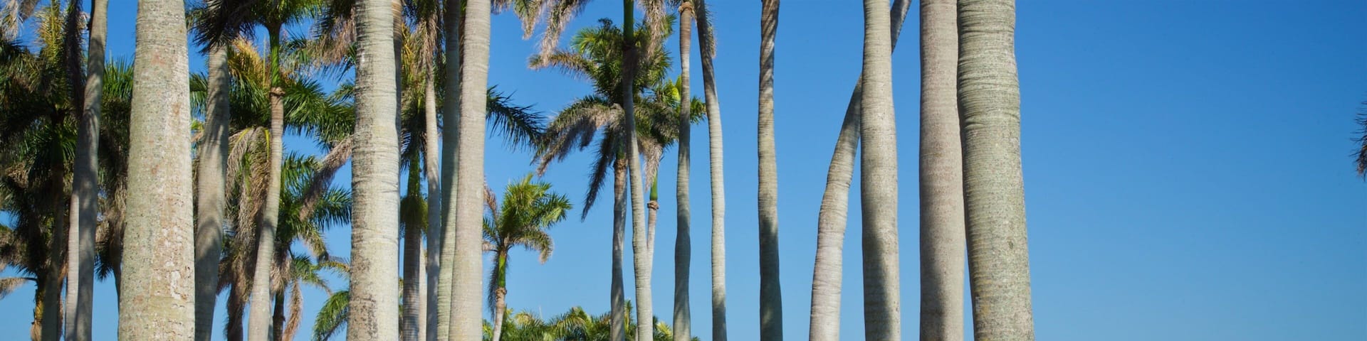 Deering Estate at Cutler which includes general coastal views and a garden