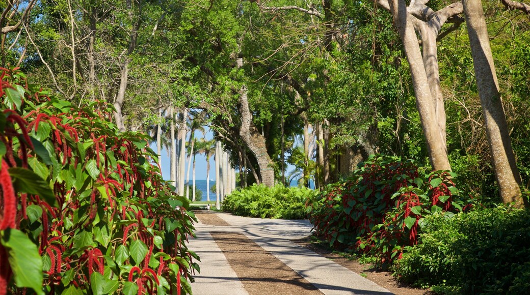 Deering Estate which includes a garden