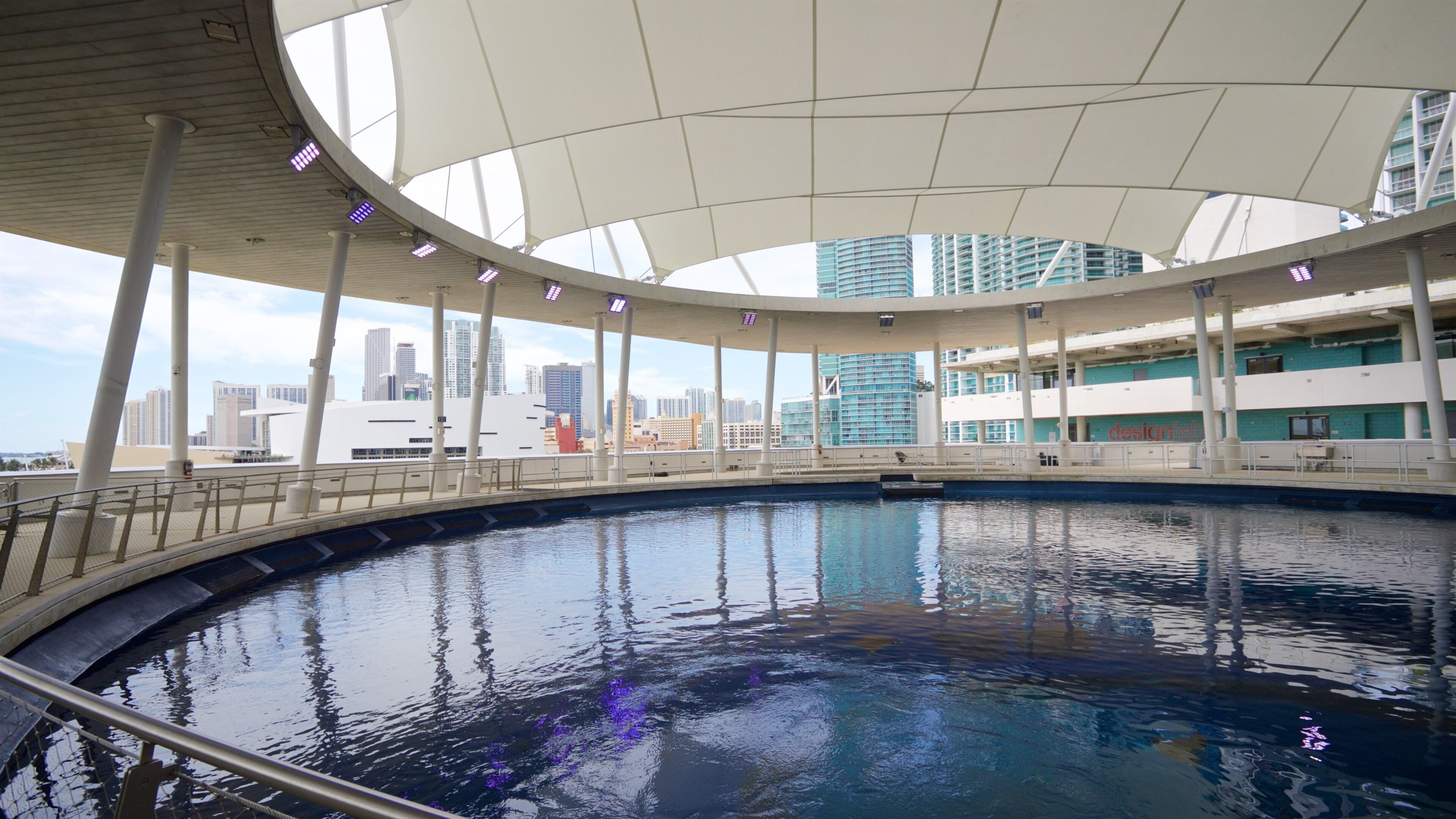 Miami Museum of Science and Space Transit Planetarium which includes a pool