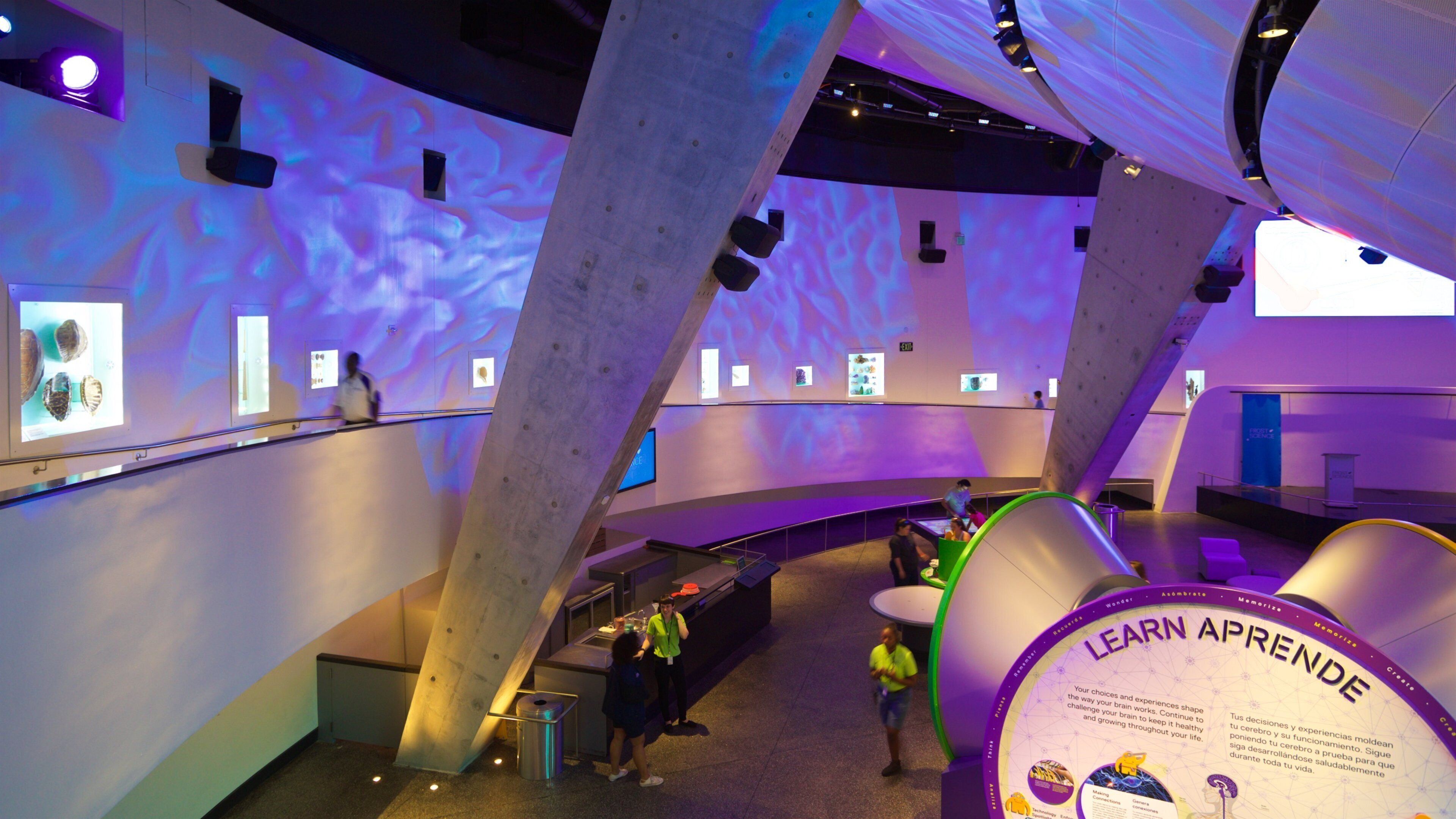 Miami Museum of Science and Space Transit Planetarium featuring interior views