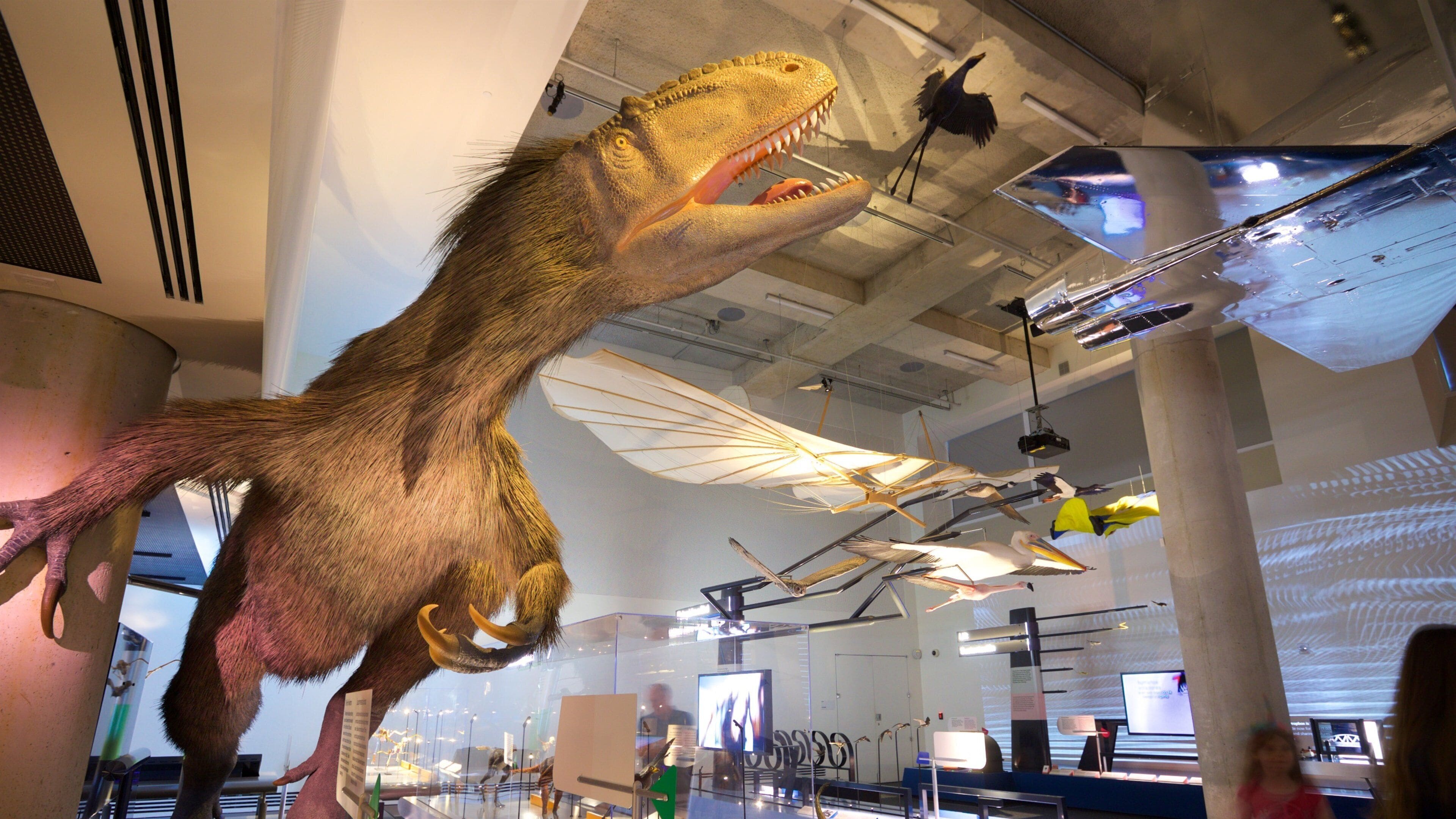 Miami Museum of Science and Space Transit Planetarium featuring interior views