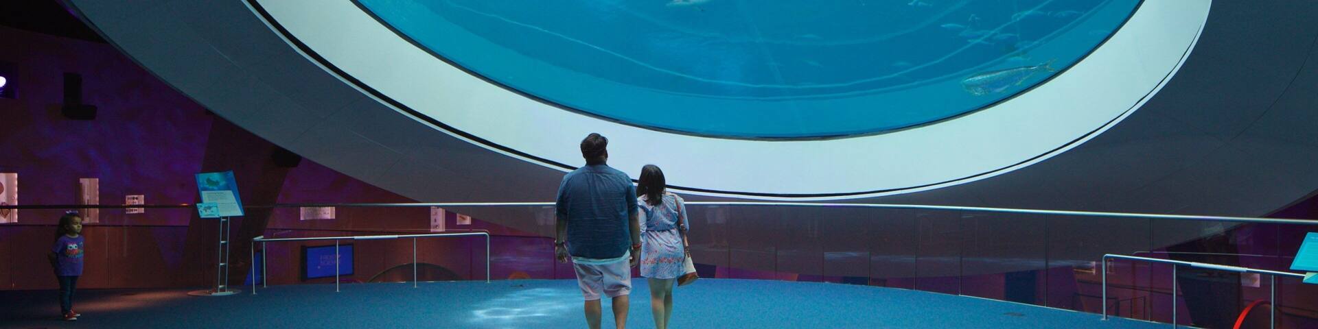 Miami Museum of Science and Space Transit Planetarium showing interior views and marine life as well as a couple