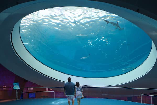 Miami Museum of Science and Space Transit Planetarium showing interior views and marine life as well as a couple