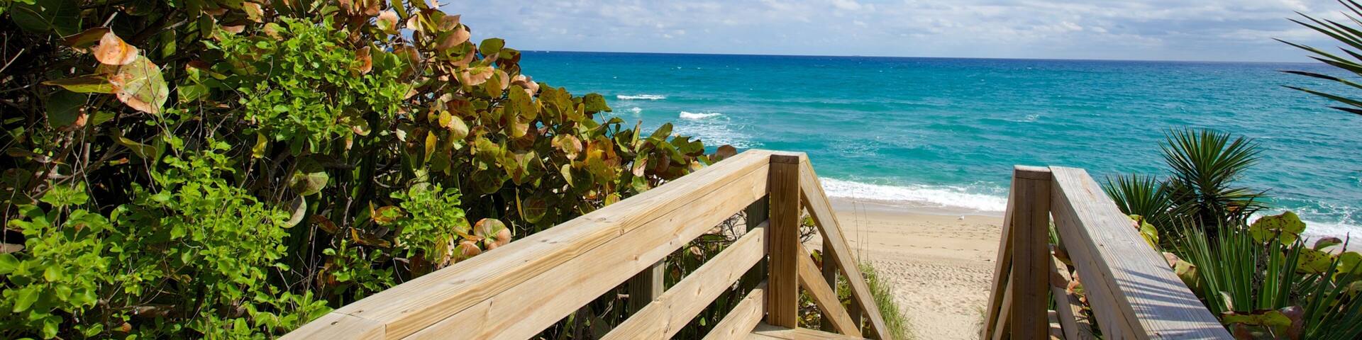 Phipps Ocean Park showing a bridge and a beach