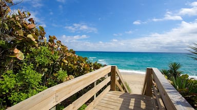 Phipps Ocean Park showing a bridge and a beach