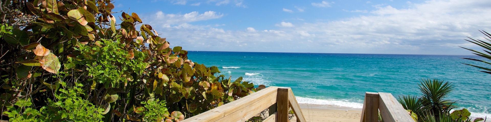 A wooden boardwalk leading to a beach with turquoise water and a clear sky.