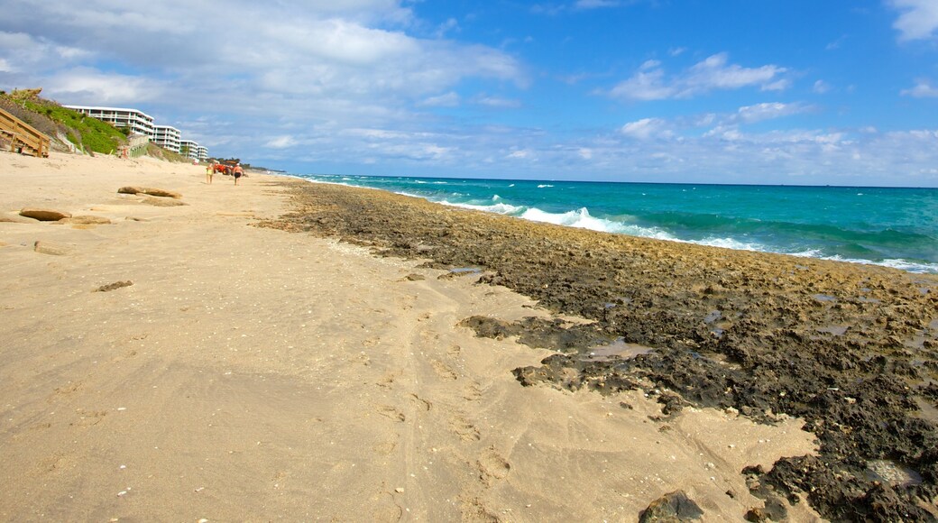 フィップズ海洋公園 フィーチャー 荒々しい海岸線 と ビーチ