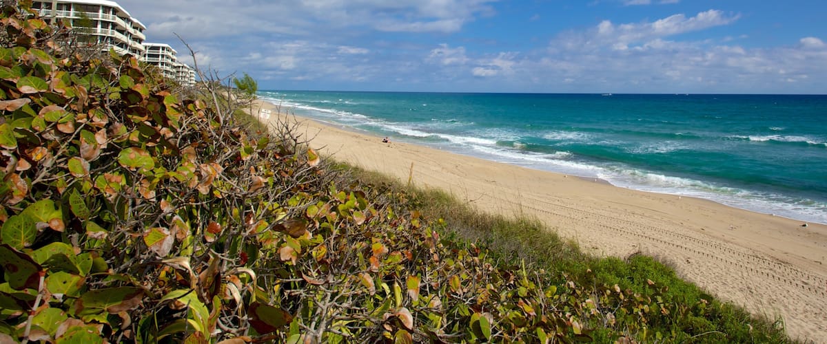 Phipps Ocean Park ofreciendo una playa de arena y una ciudad costera