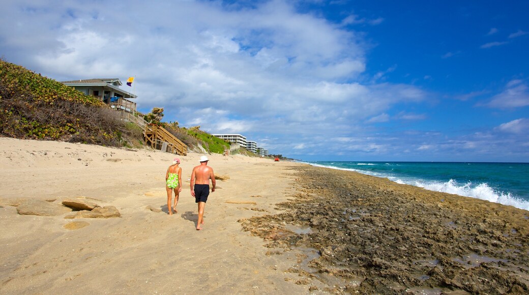 Phipps Ocean Park showing a coastal town, a sandy beach and rugged coastline