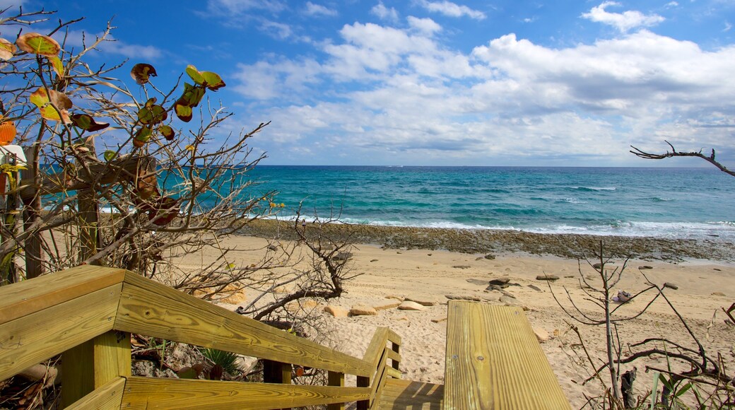 Phipps Ocean Park featuring a beach and rocky coastline