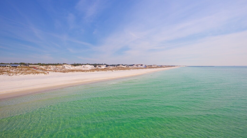 St. Andrews State Park featuring a beach