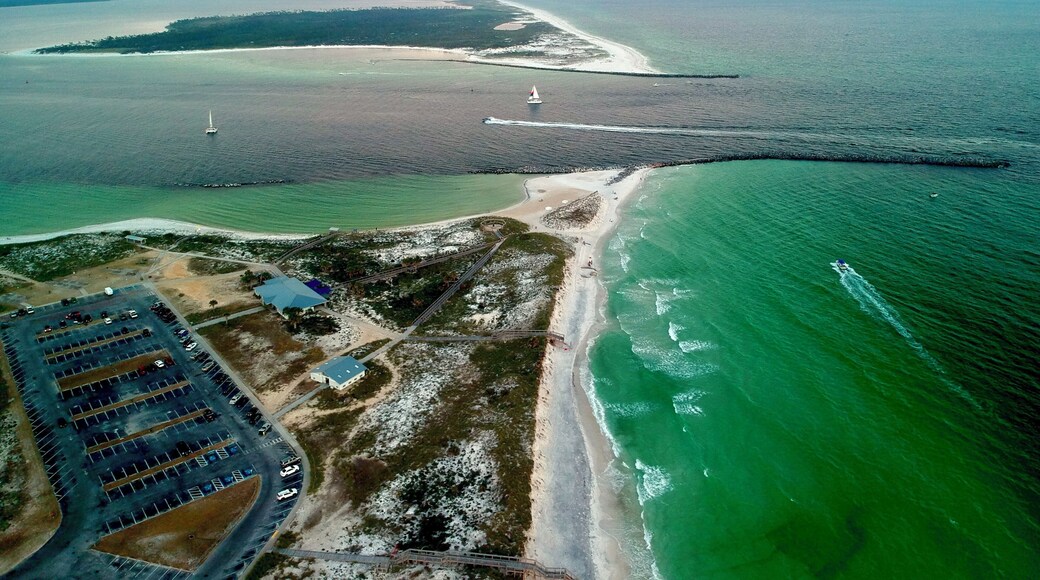 Gorgeous little park in Panama City. It’s definitely a must see!