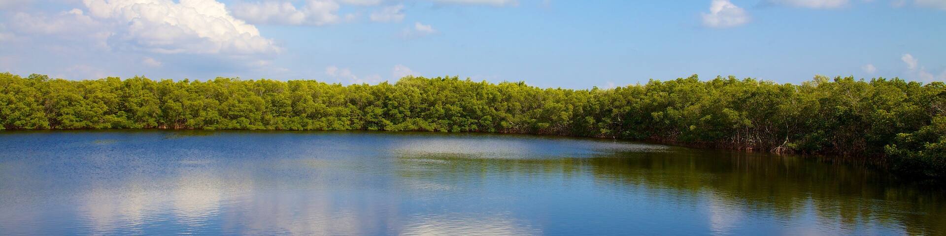 Weedon Island Preserve featuring forests and landscape views