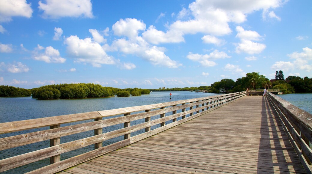 Weedon Island Preserve