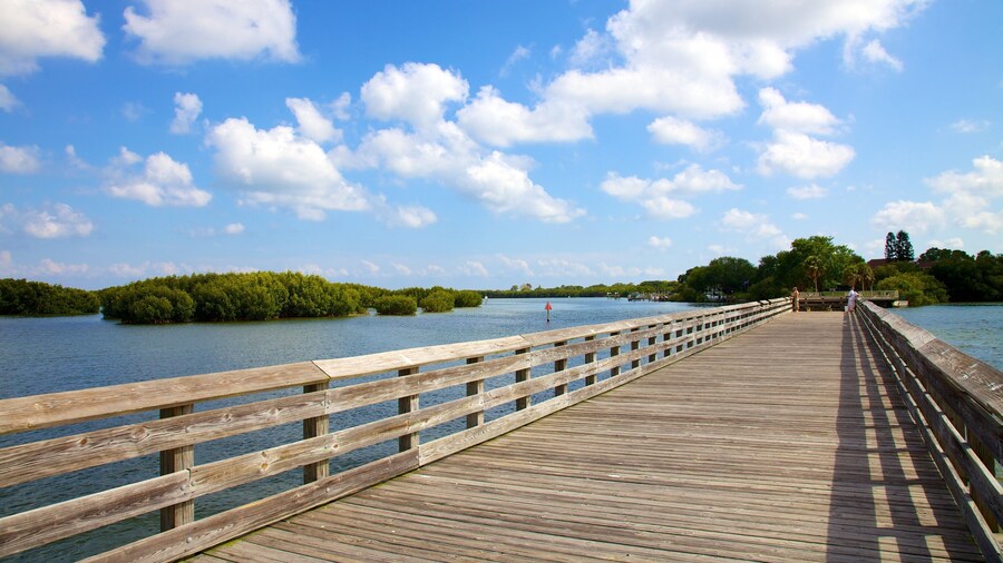 Weedon Island Preserve featuring a bridge and island views