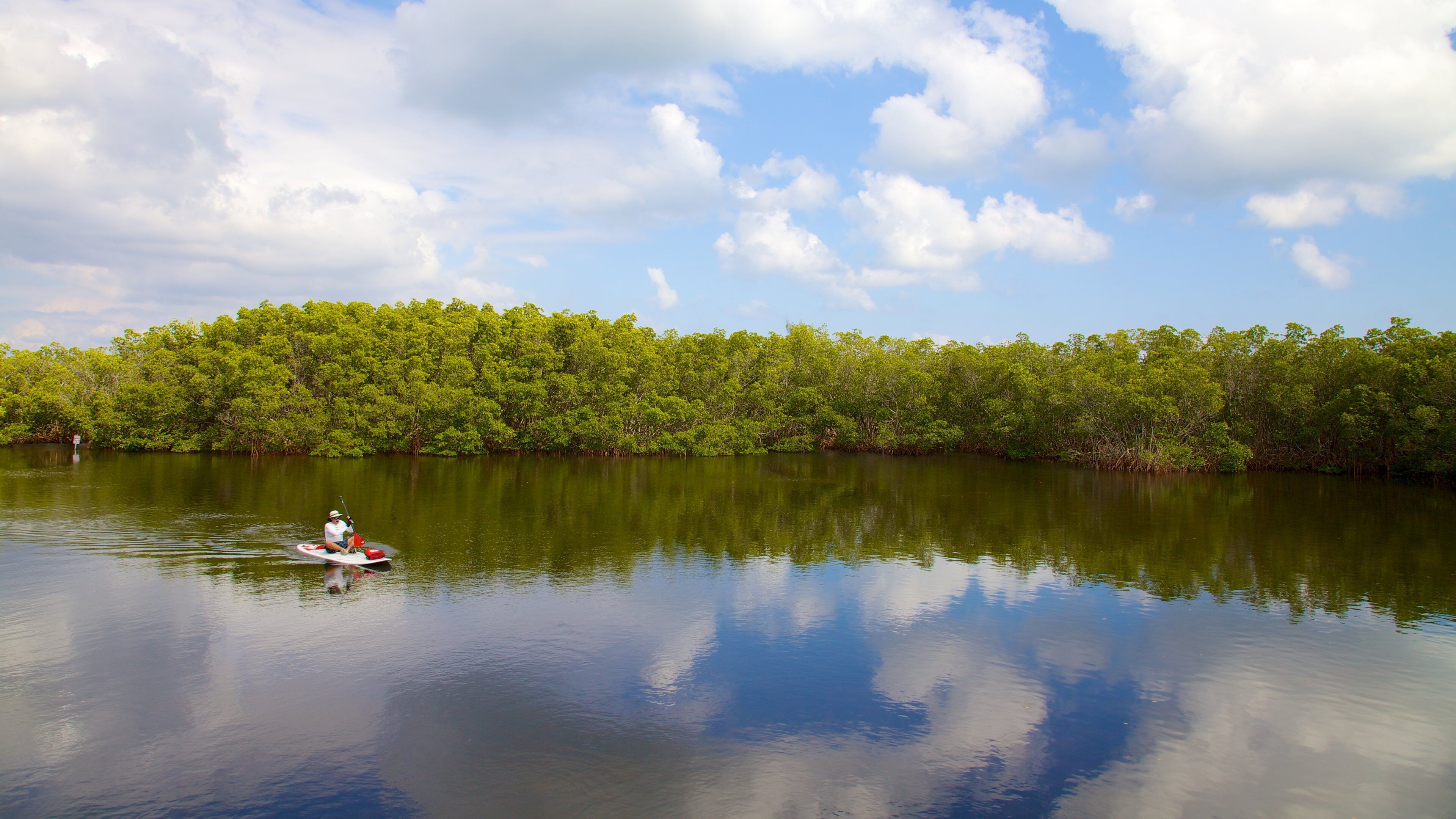 Weedon Island Preserve which includes kayaking or canoeing, island views and a lake or waterhole