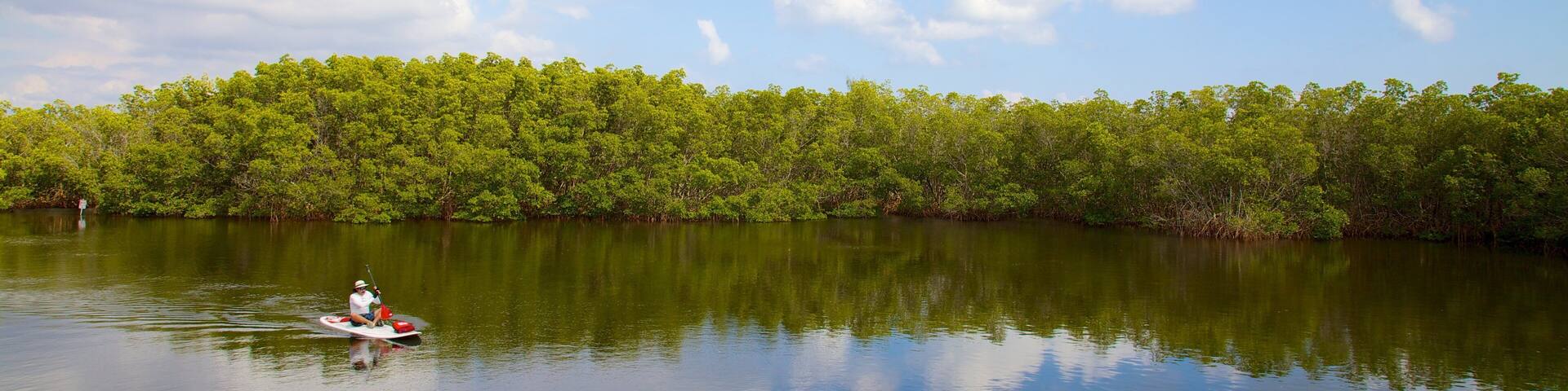A calm river with a person paddling a canoe, surrounded by dense green foliage under a partly cloudy sky.