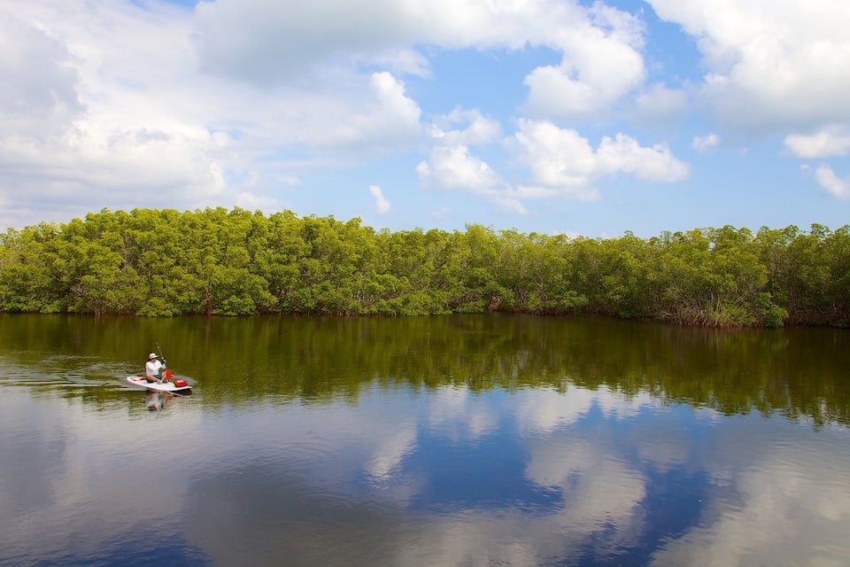 A calm river with a person paddling a canoe, surrounded by dense green foliage under a partly cloudy sky.