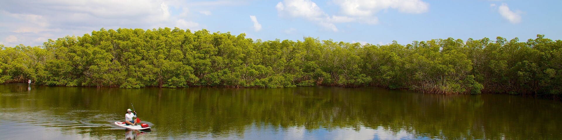 Um rio calmo com uma pessoa remando em um canoa, rodeada por vegetação verde densa sob um céu parcialmente nublado.