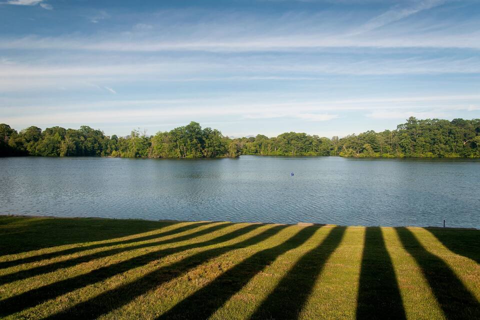 A lake with a grassy foreground and dense trees in the background.
