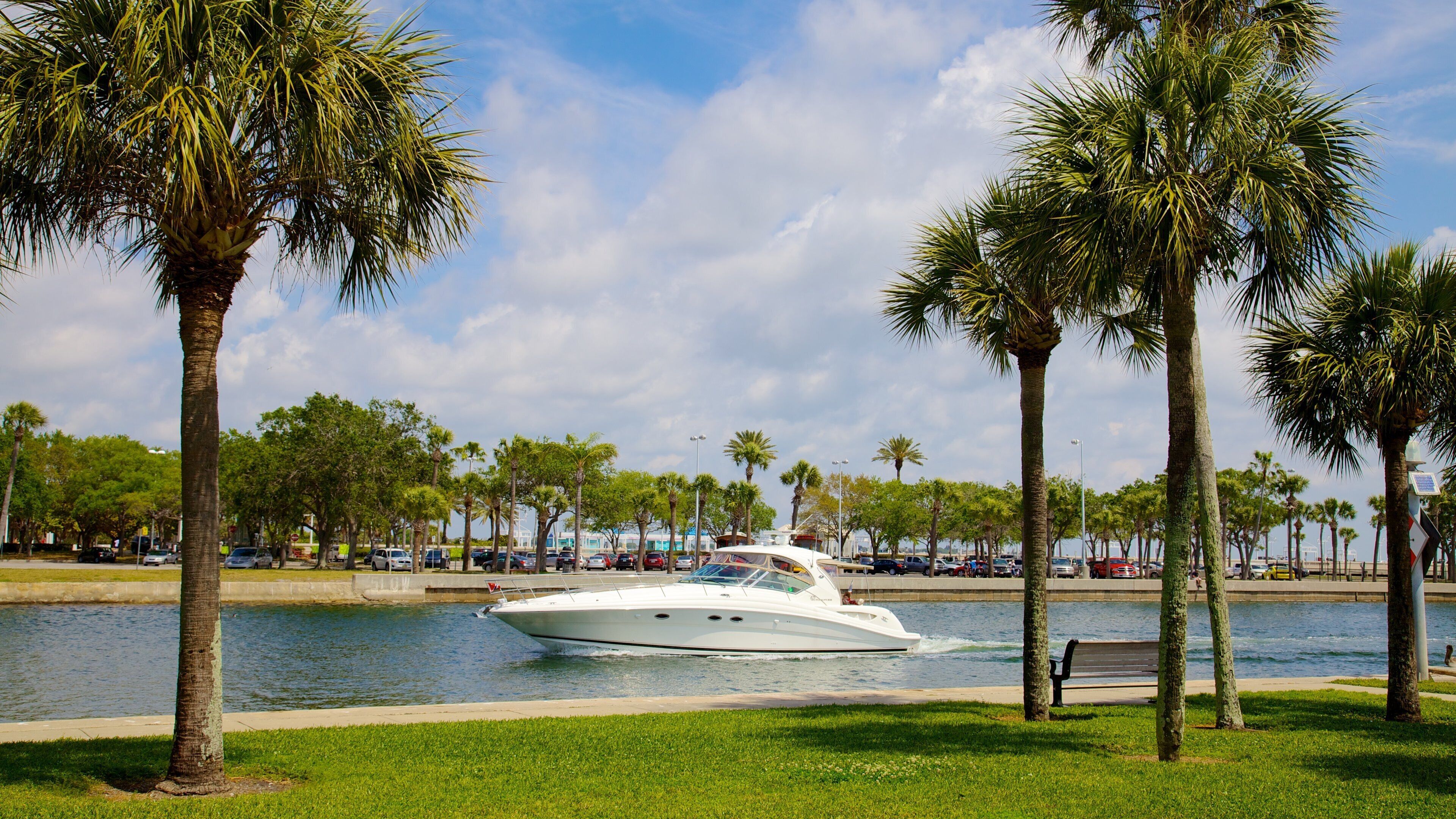 Demens Landing Park som omfatter en have, udsigt over kystområde og bådsejlads