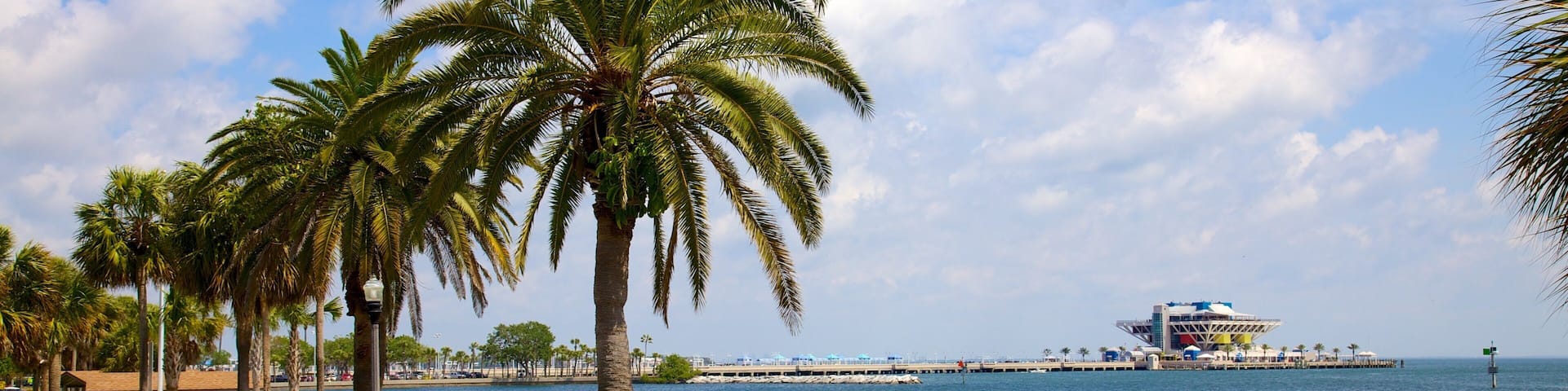 Demens Landing Park mostrando un parque, vistas generales de la costa y una bahía o puerto