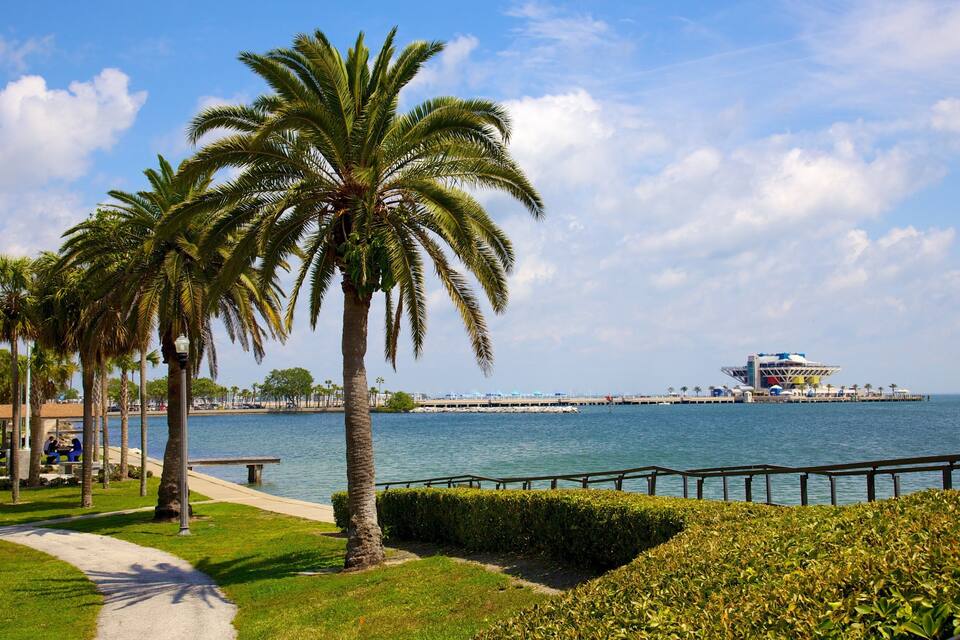 A coastal promenade with palm trees, a pier, and a modern building by the sea.