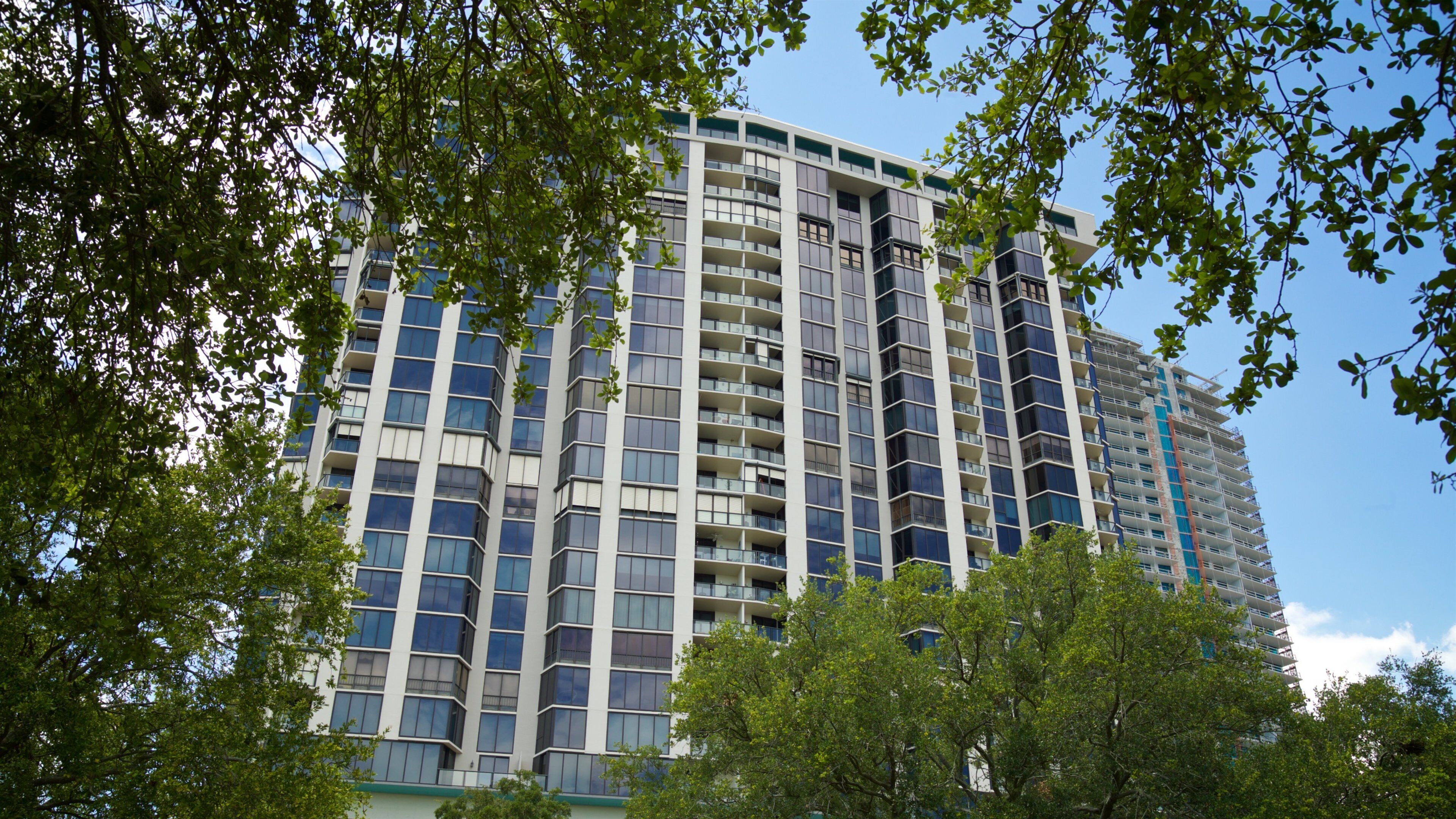 Pioneer Park featuring a city