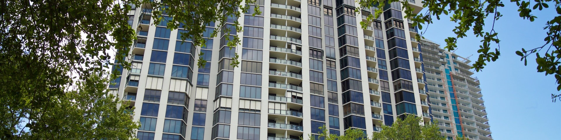 Pioneer Park featuring a city