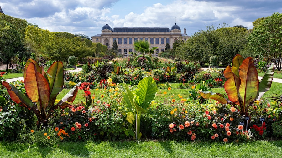 Grande galerie de l'Ăvolution