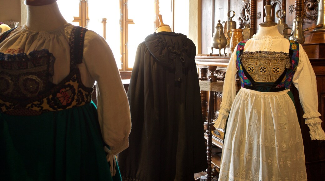 Alsatian Museum featuring interior views and heritage elements