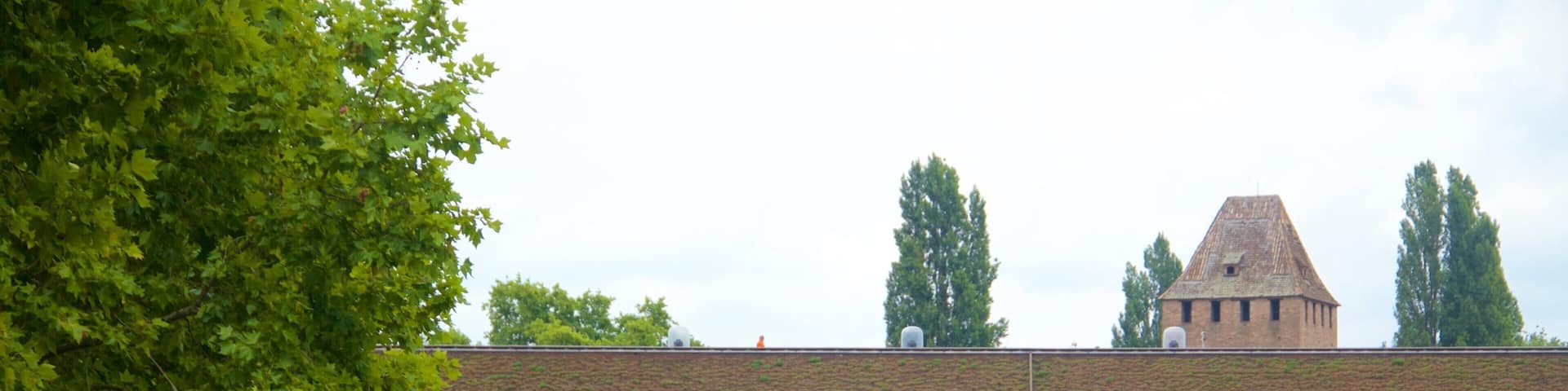 A brick bridge over a canal with a tree in the foreground.