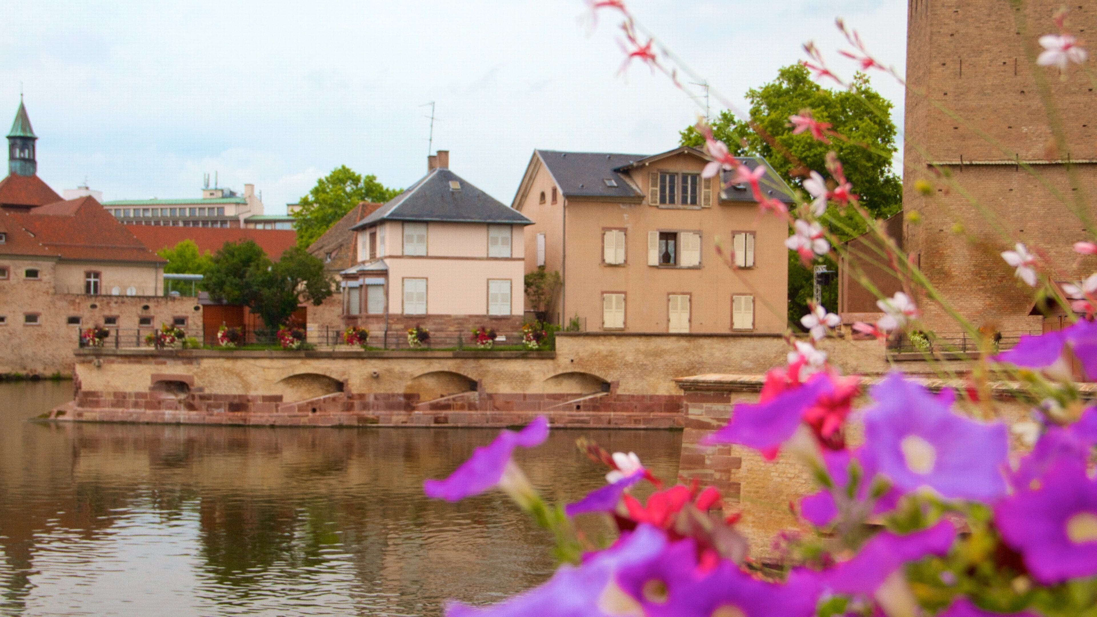 Covered Bridge showing flowers, a small town or village and a river or creek