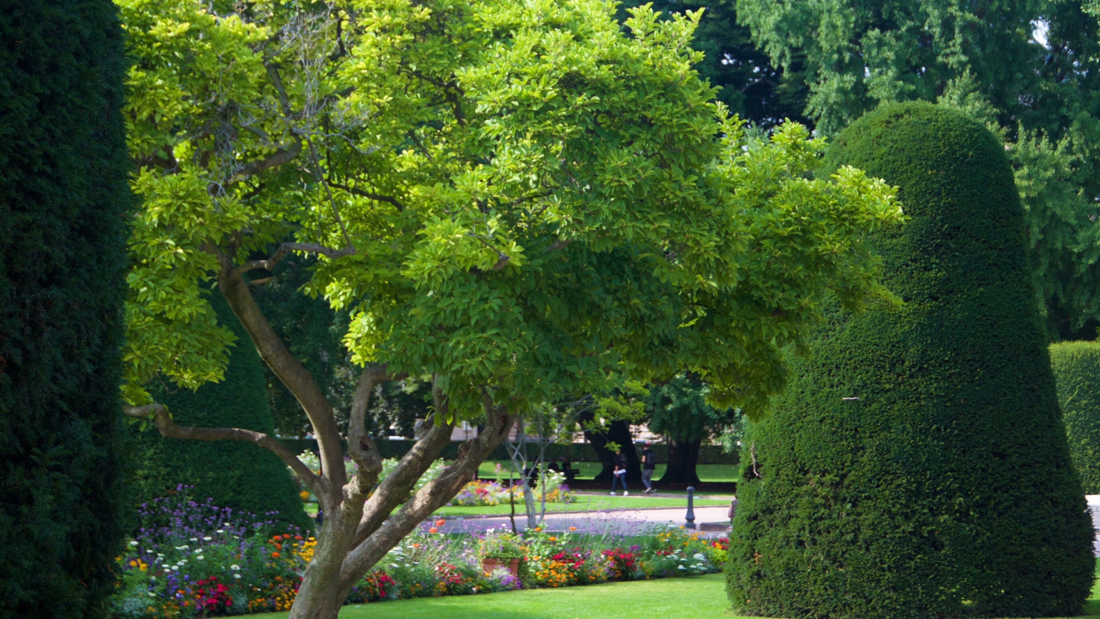 Republic Square which includes a garden