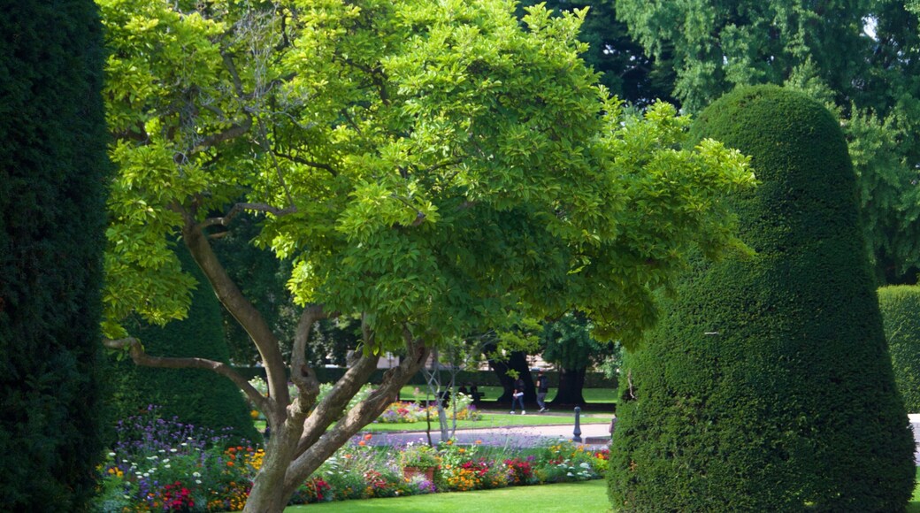 Republic Square featuring a garden