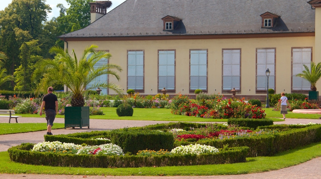 Jardines de L\'Orangerie mostrando flores y un parque